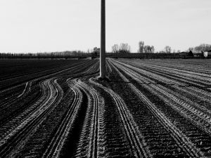 Monumento Fiume Scalandrê. Foto di Marco Zanella