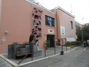 Museo Civico di Zoologia