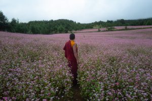 C’ERA UNA VOLTA IN BHUTAN