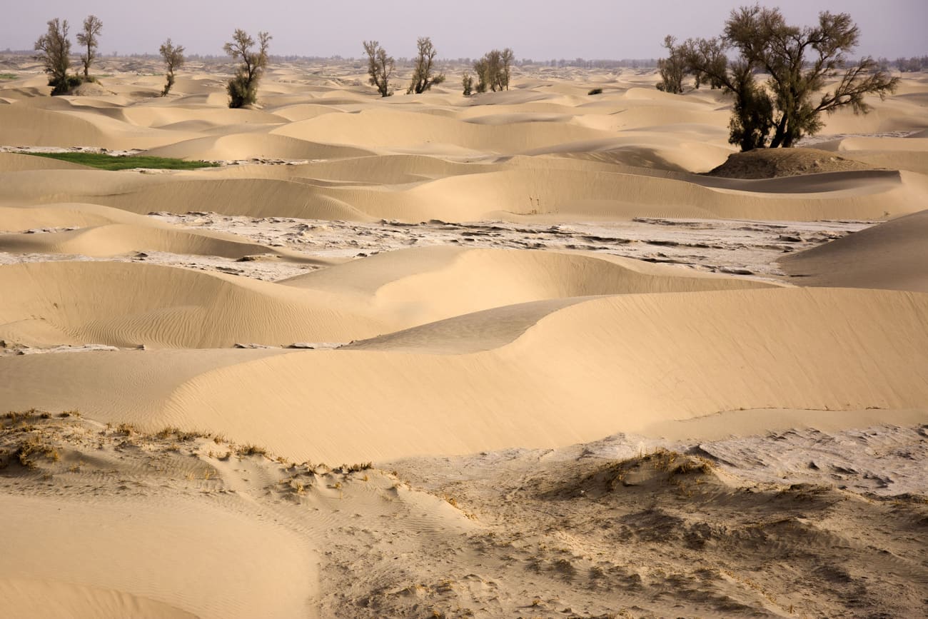 gholami__ph. MAIPS (Multidisciplinary Archaeological International at Shahr-i Sokhta)